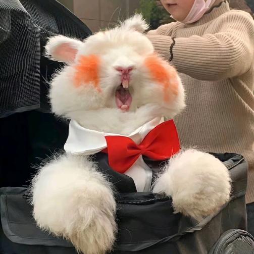 璇璇的零食铺子