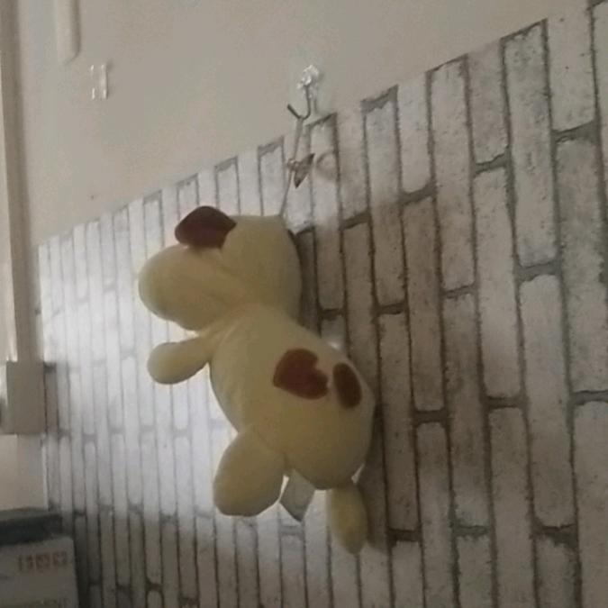 lemon小帅
