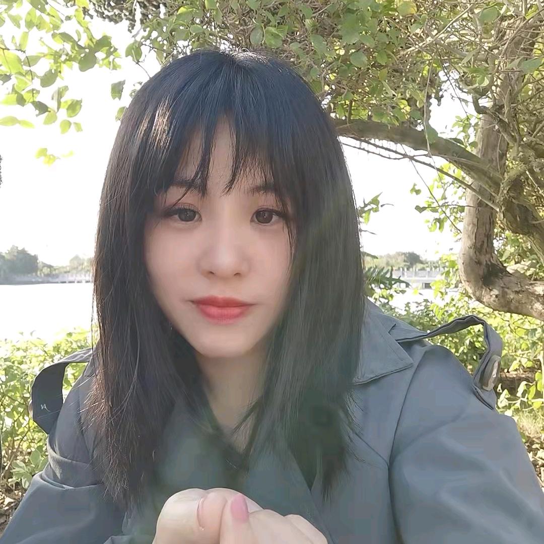 灵鸟贝鑫