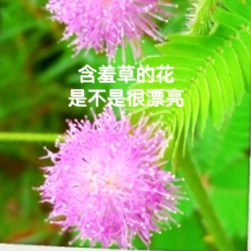 悟我