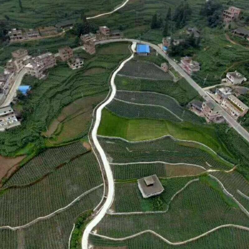 胜哥