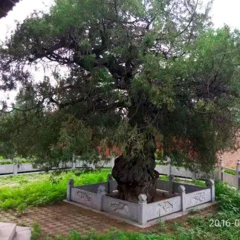静如水