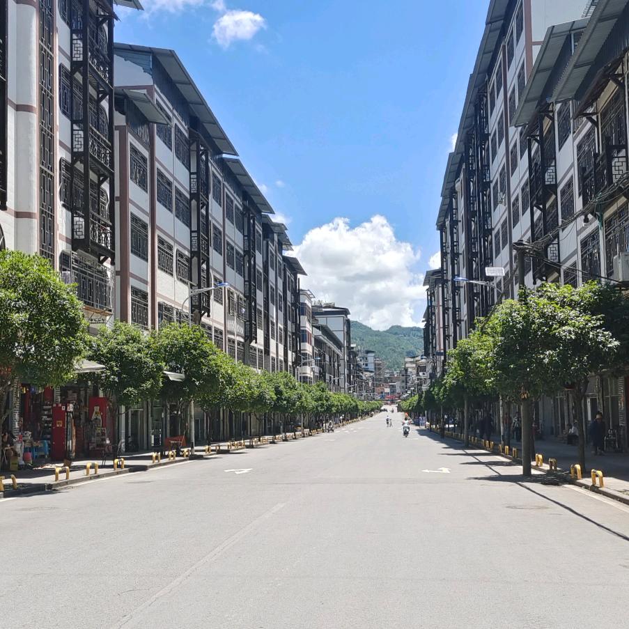 六零后刘支书