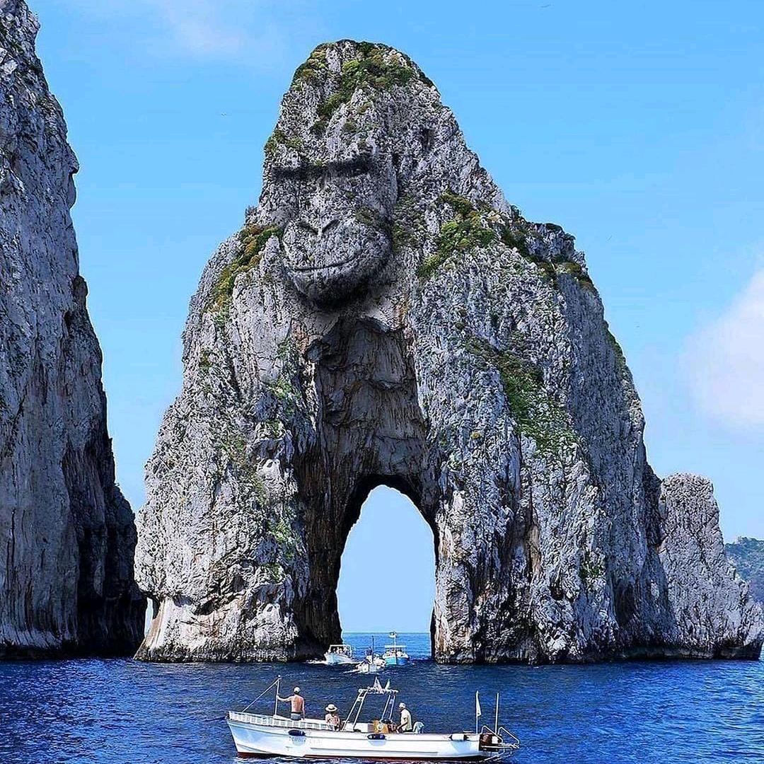 田 福 ～