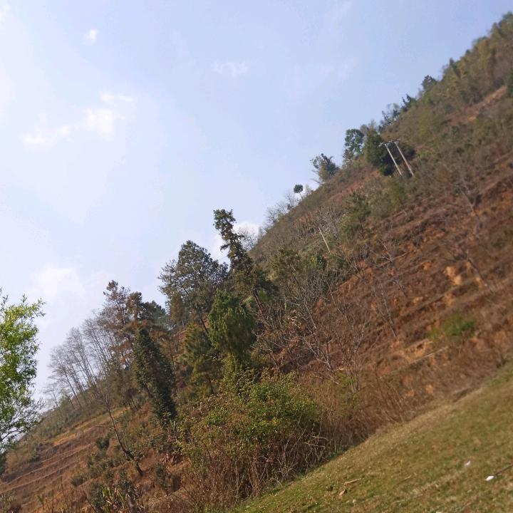 牛爷爷