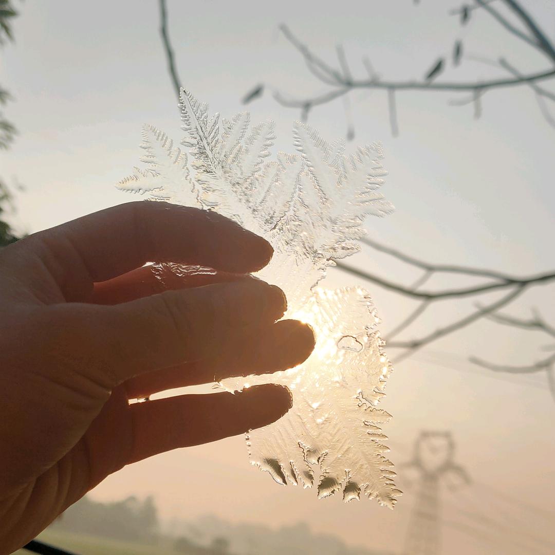 好好的心肝喂了～狗