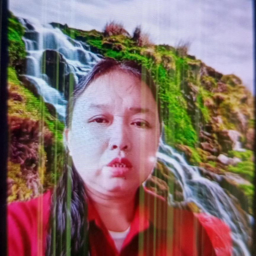刘时琴