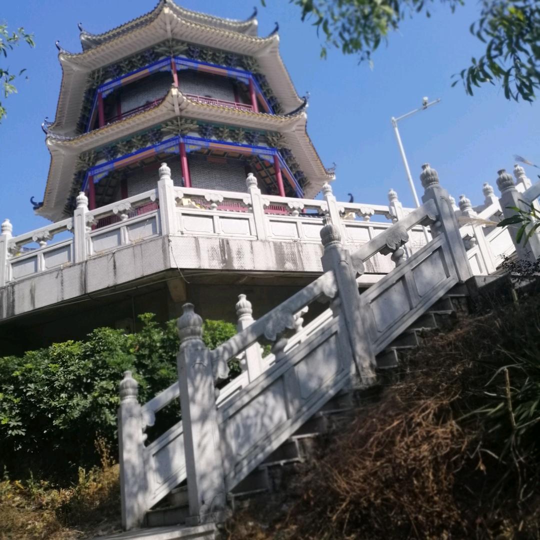 体育之光