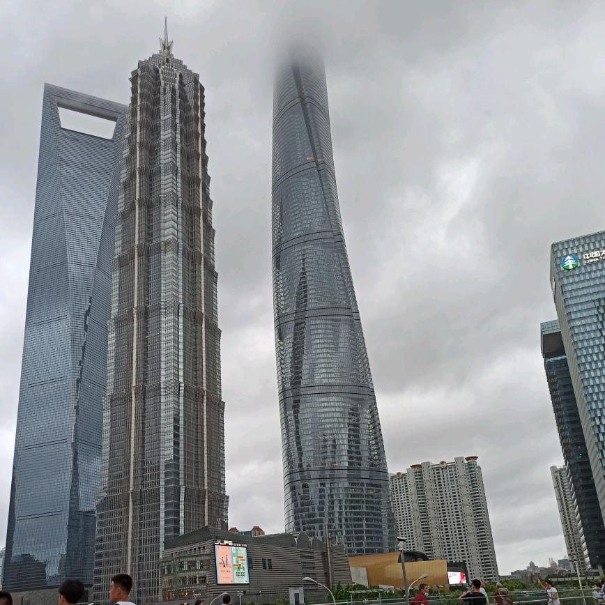 杨柳依依