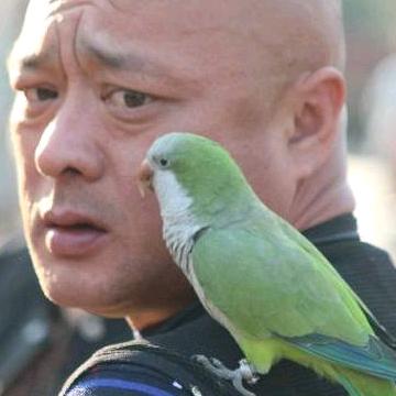 森林狼