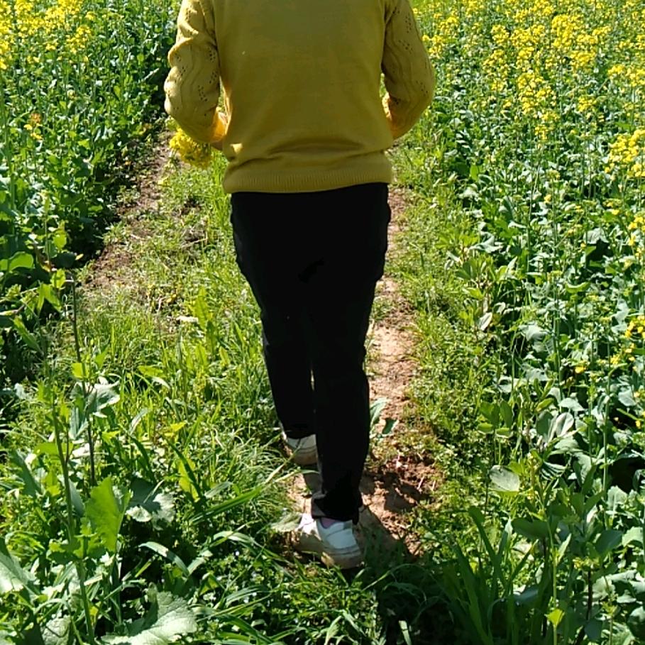小红红