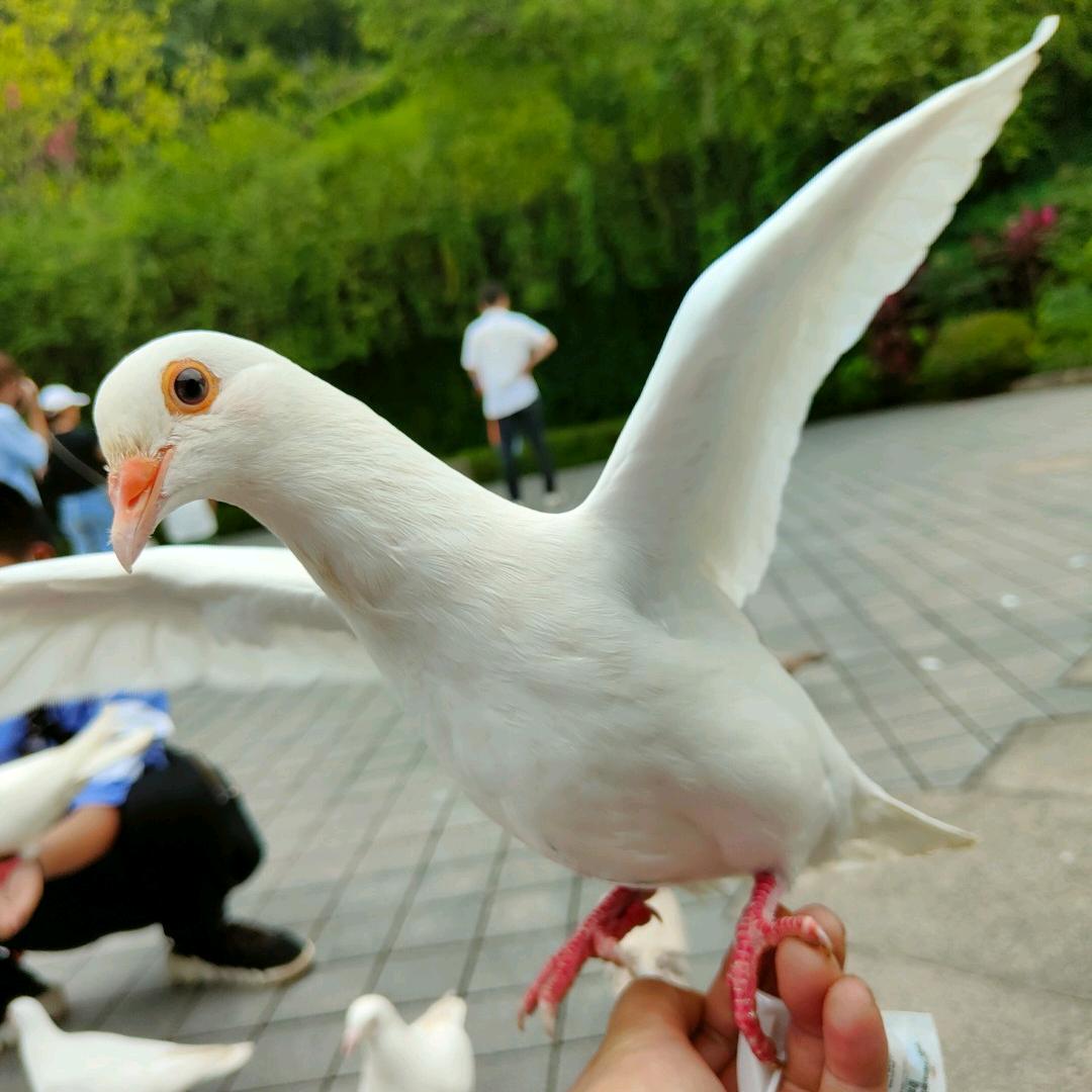 🦋凡事有度🦋