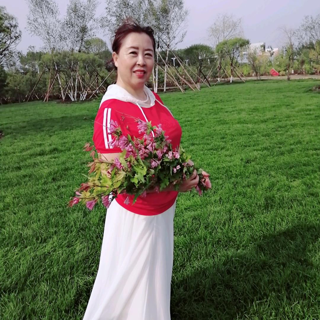 宝清小丽