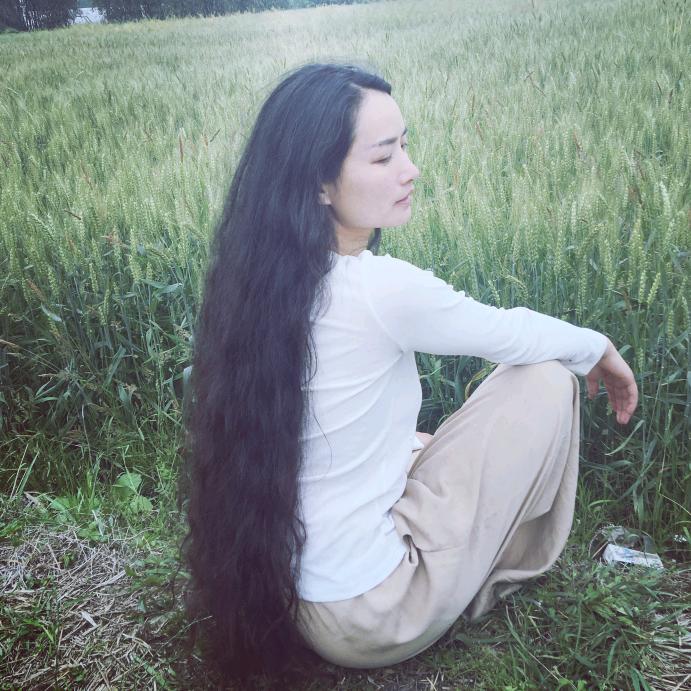 杨翻