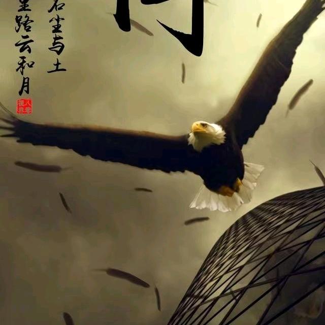 黑🐴