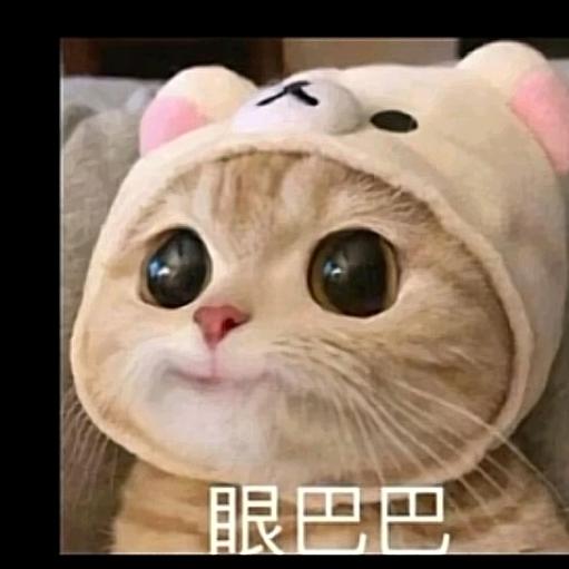 吃饱饱🤗🤗🤗