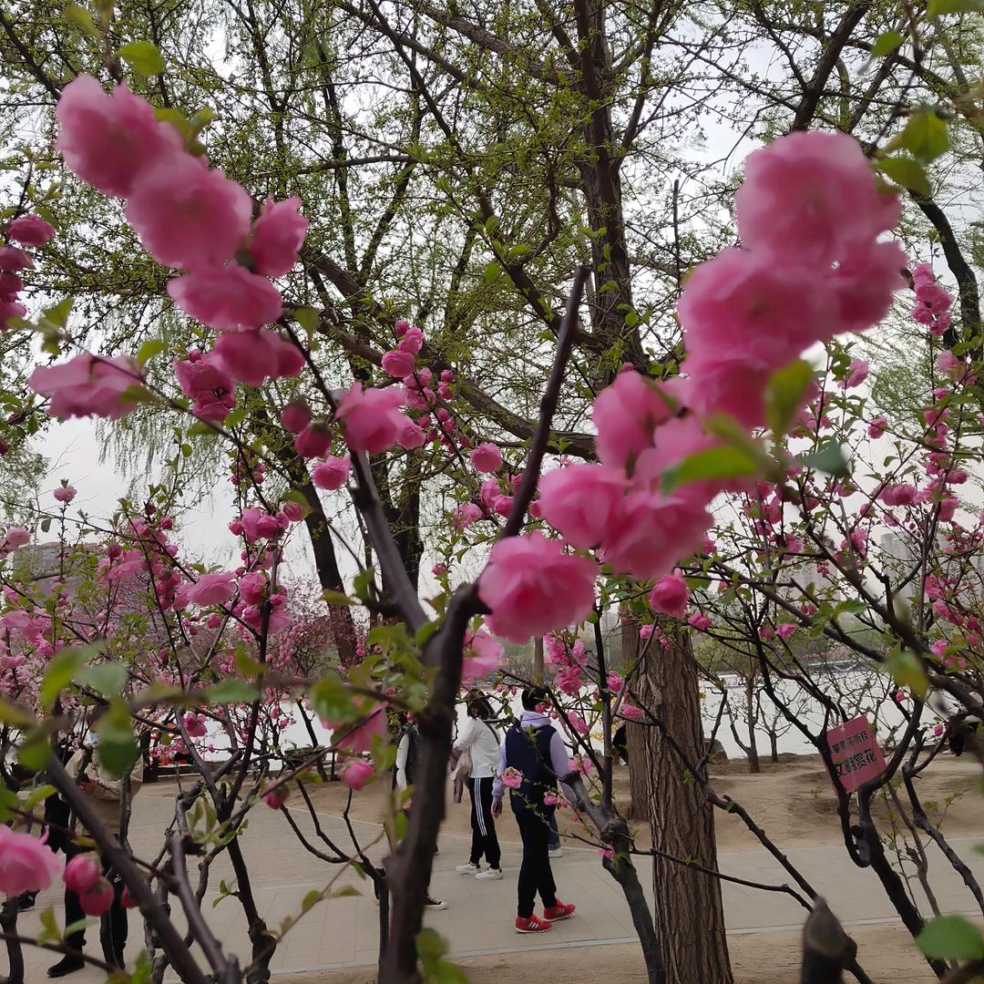 曾经的你归属了回忆