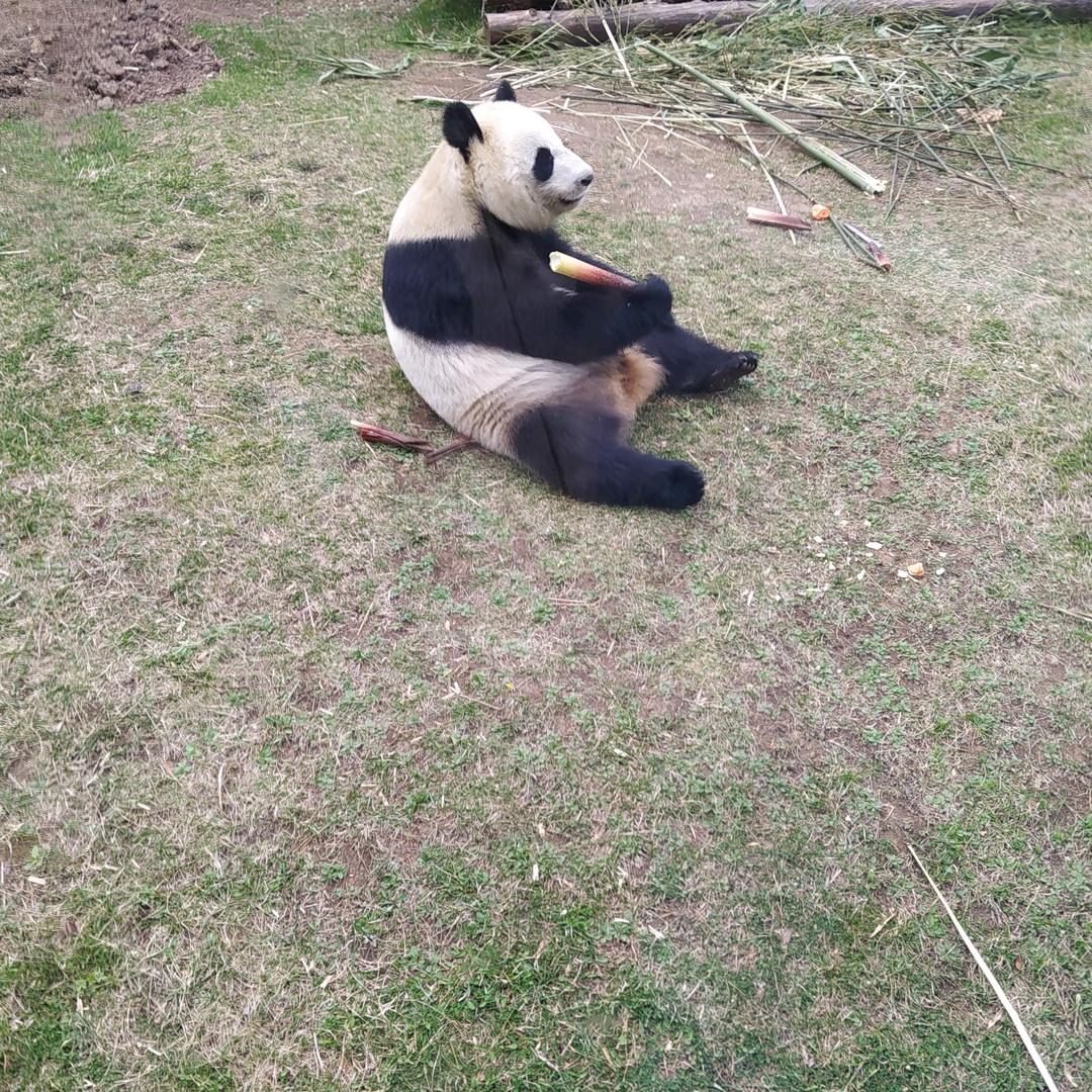 琳琳呀