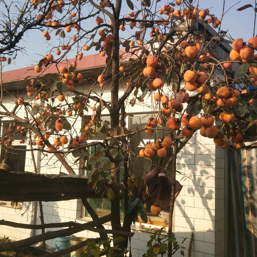 绝处逢生