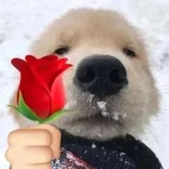 傻孩子