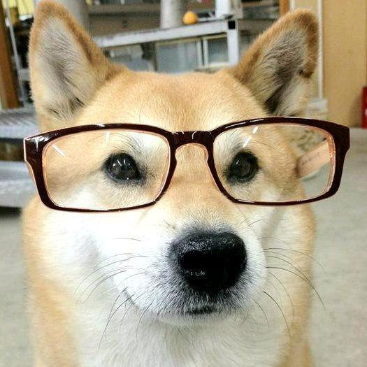 笑