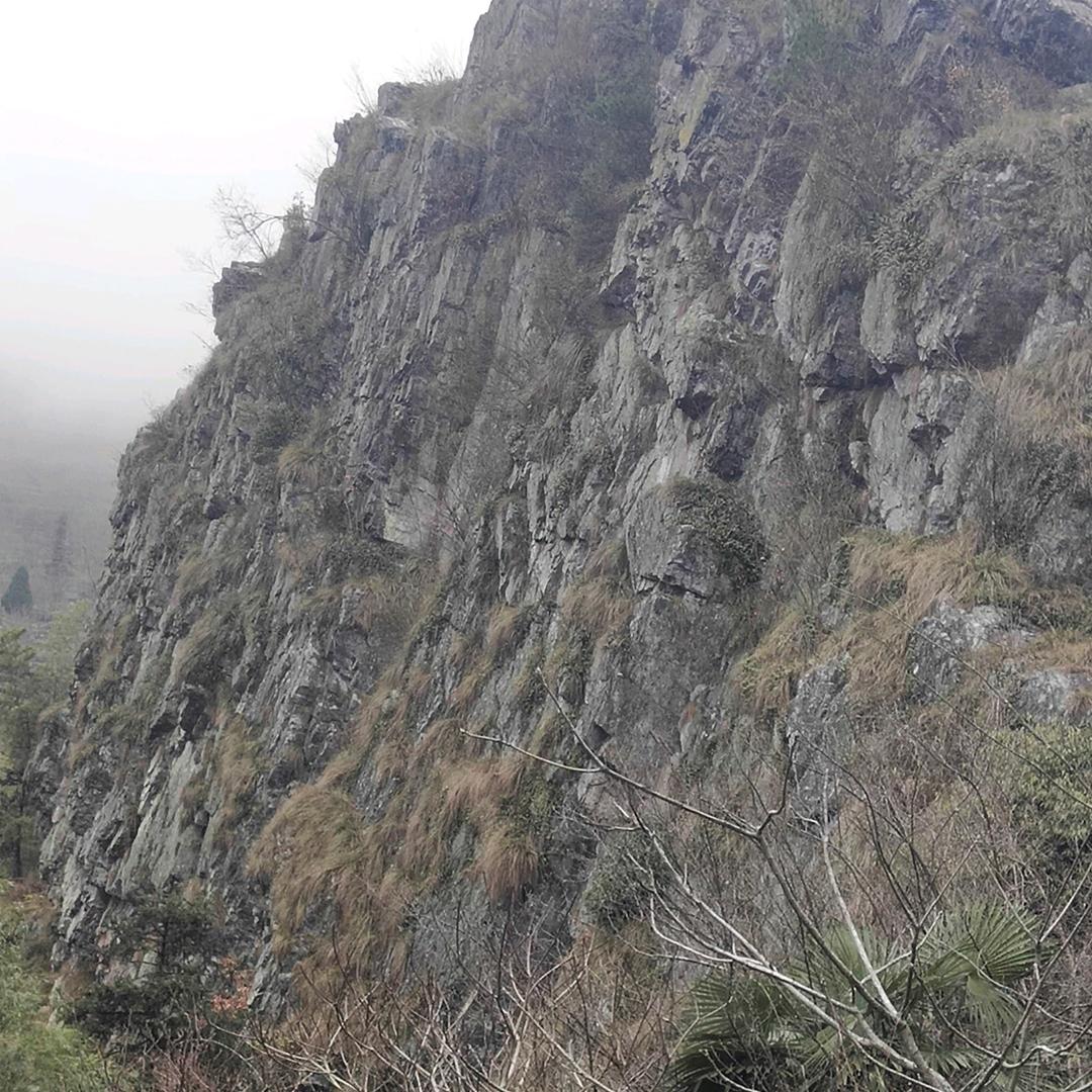 家和万事新一切靠自己奋斗