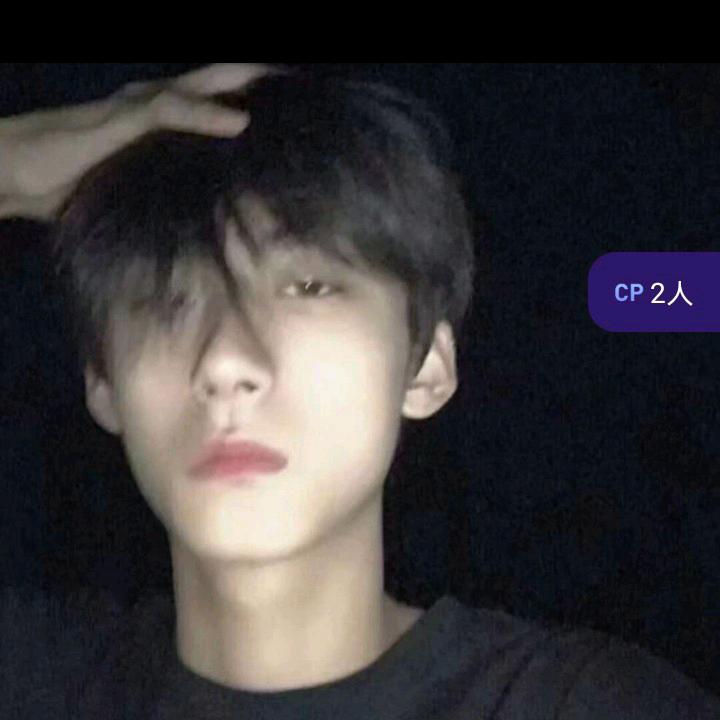 石鑫
