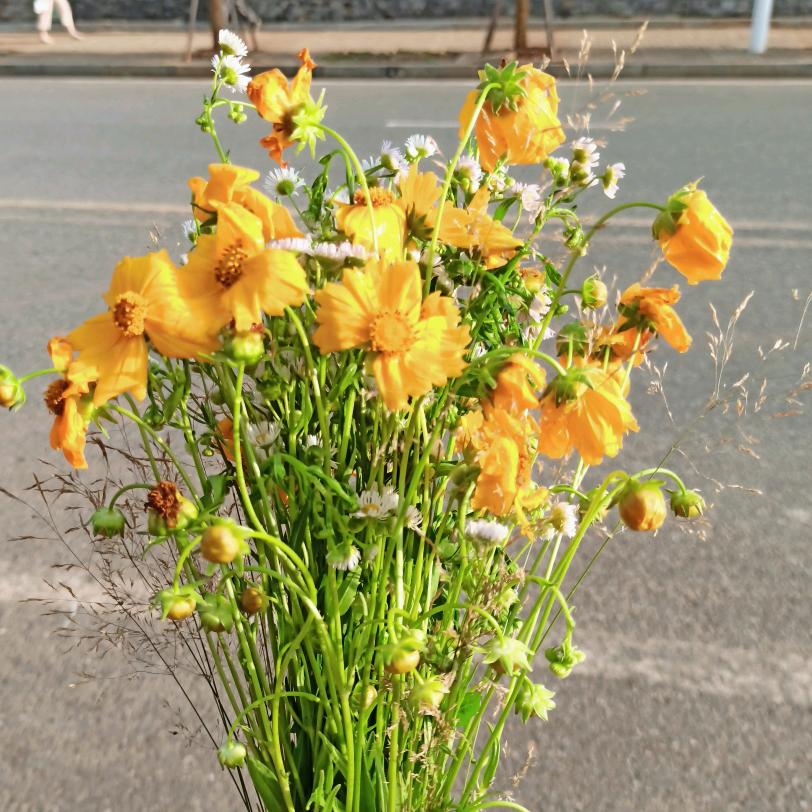 我竟稳不到一个好名字