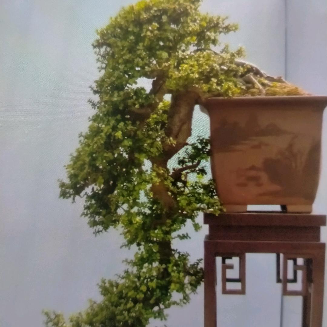 还行呵呵