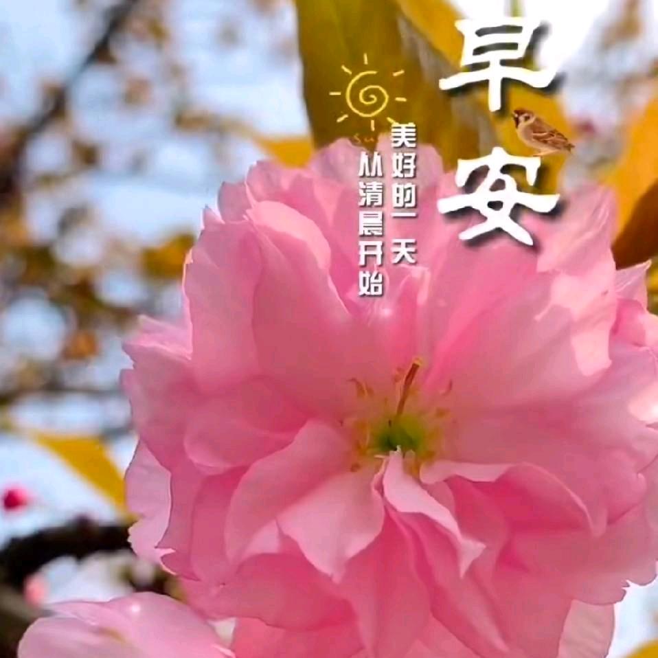 晓晴日常分享