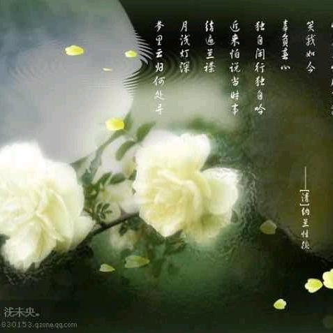 碧海蓝天海边荡秋千