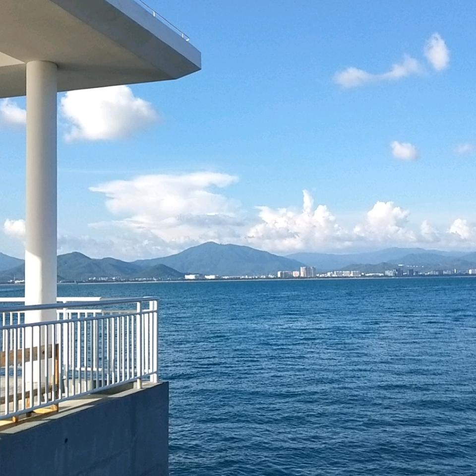 灵龙～寻梅听雨