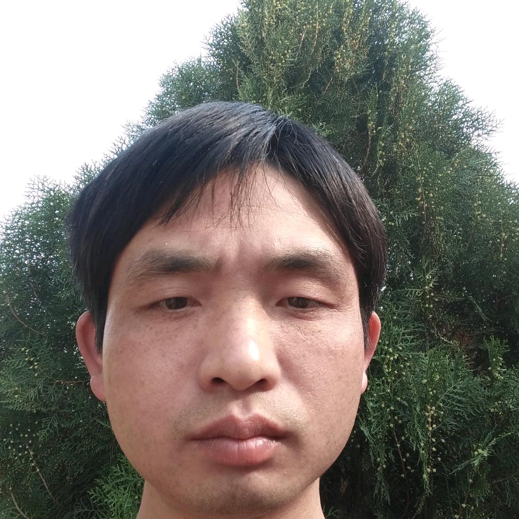 蜜蜂恋花的小蜜蜂（谢）