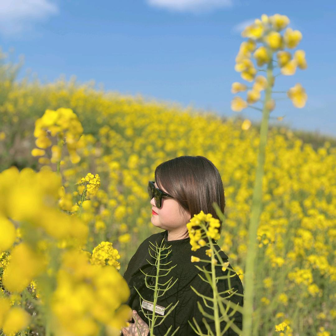 菲菲儿