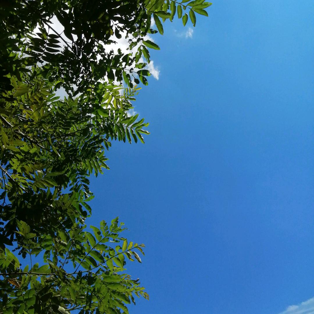 平水相逄