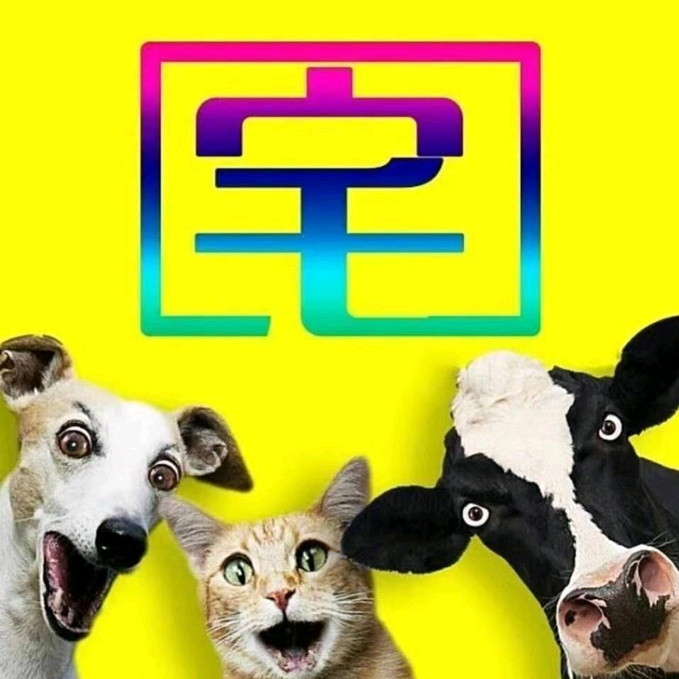 宅公社网络科技工作室