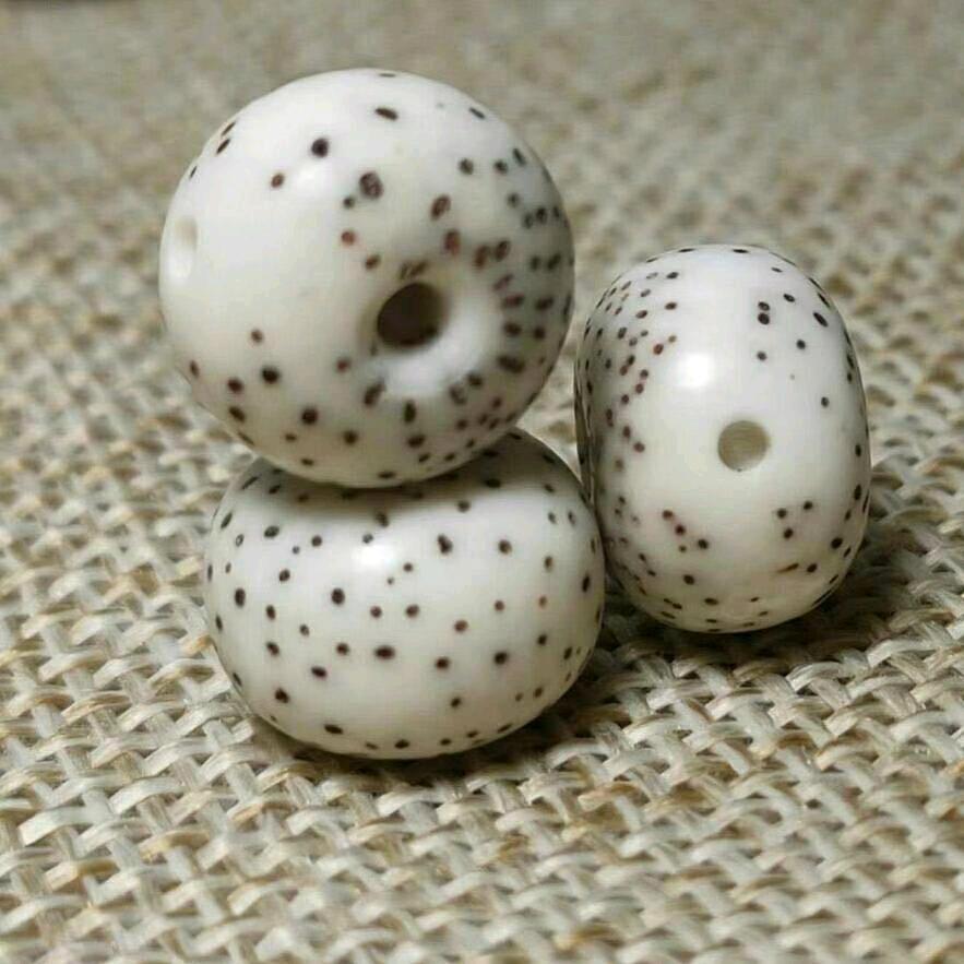 梵修星月菩提厂