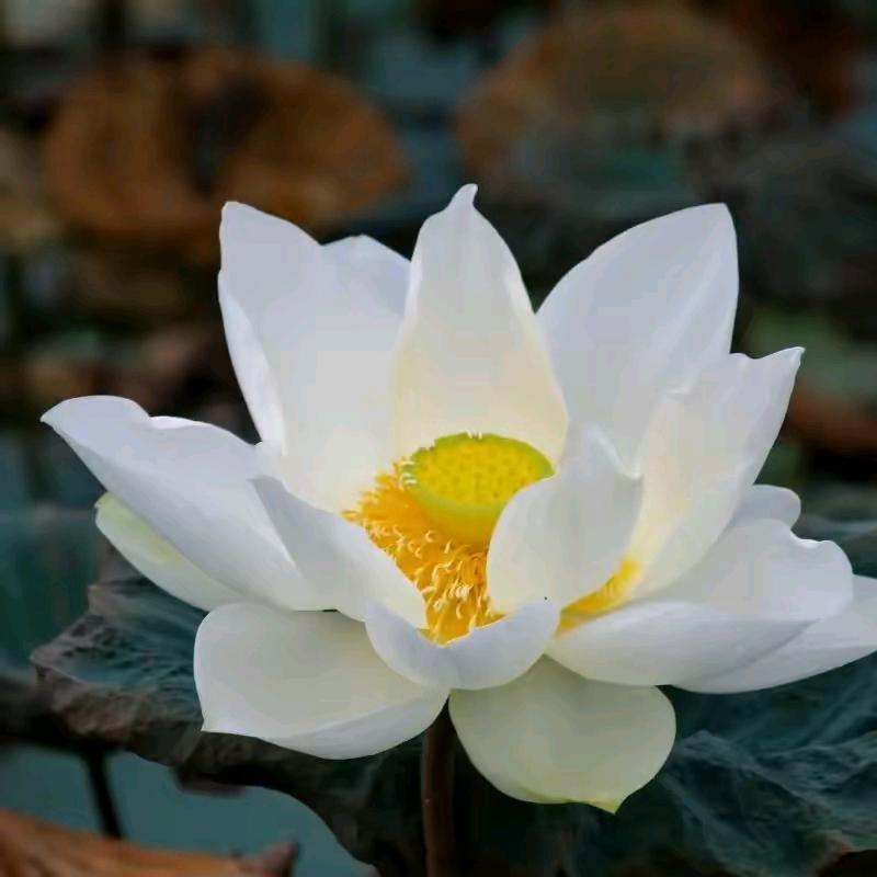 相聚在成长（1）