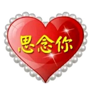 REi SHI NI SHI WO DE