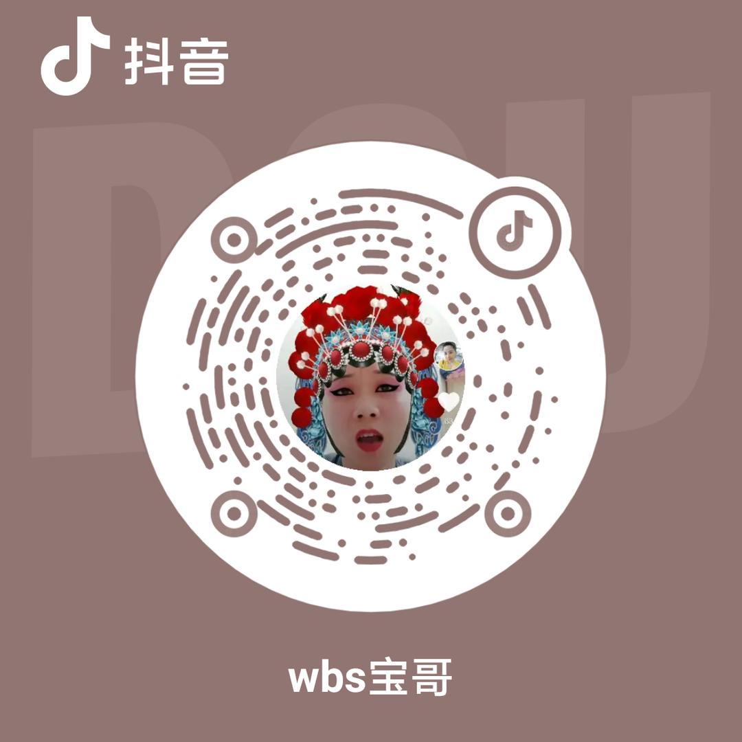 wbs宝哥