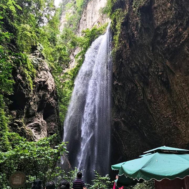 小豆豆头像