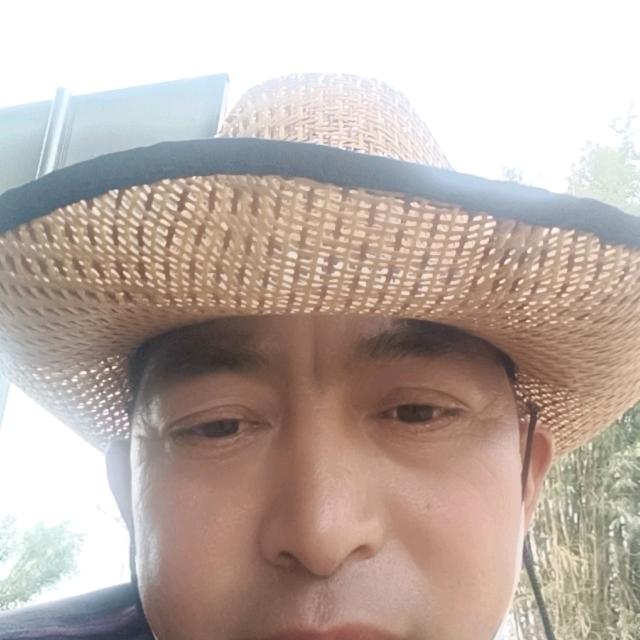 专业打水井。罗