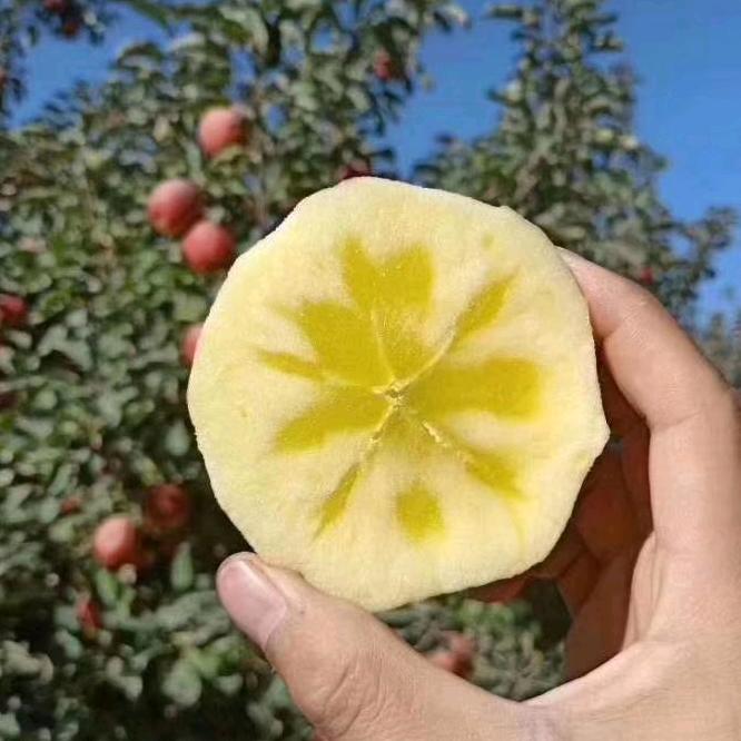 华哥种苹果