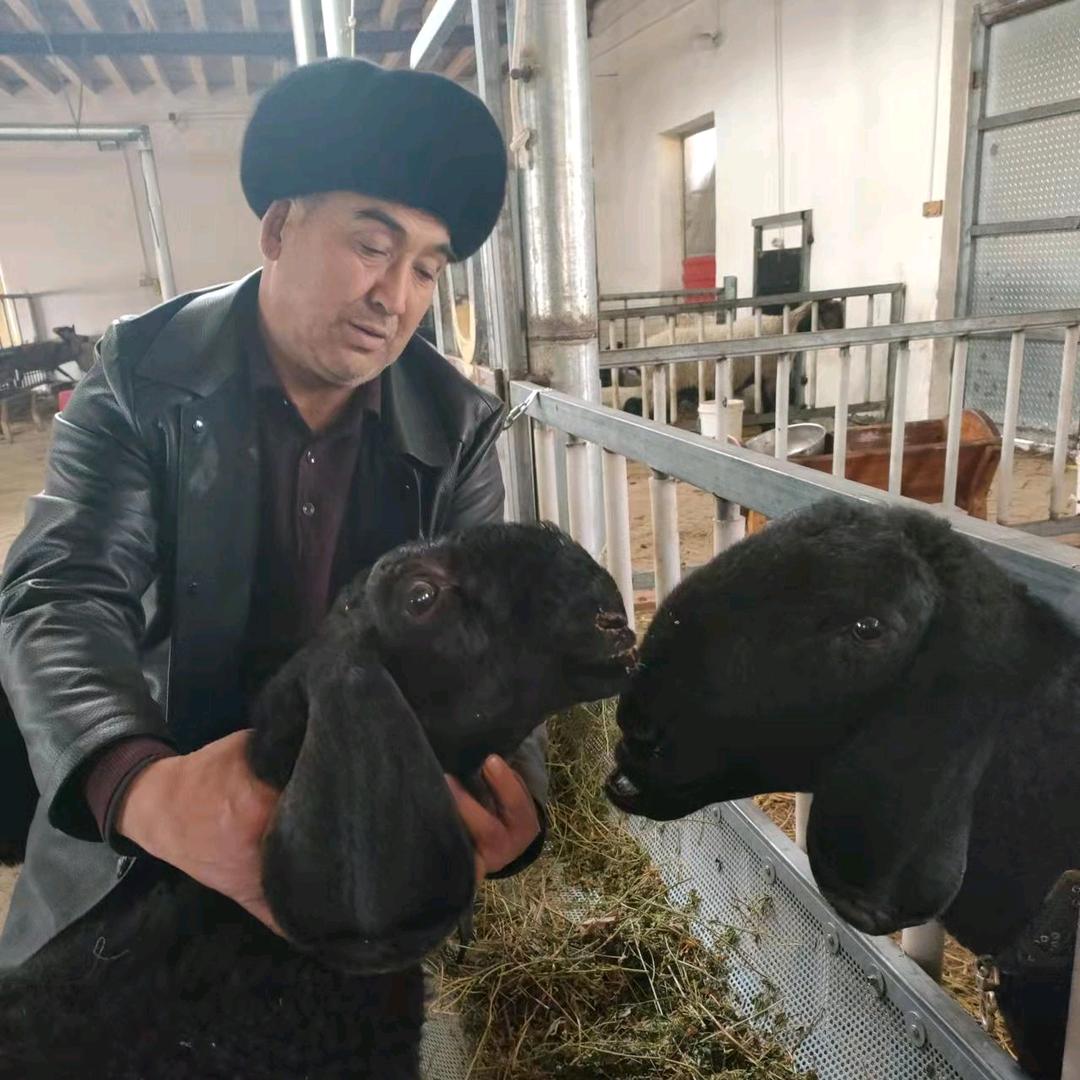 麦麦提敏·吾布力