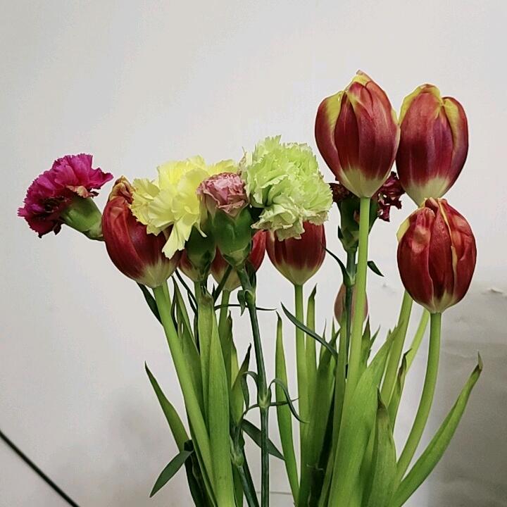 真实的自己🌹🌹🌹