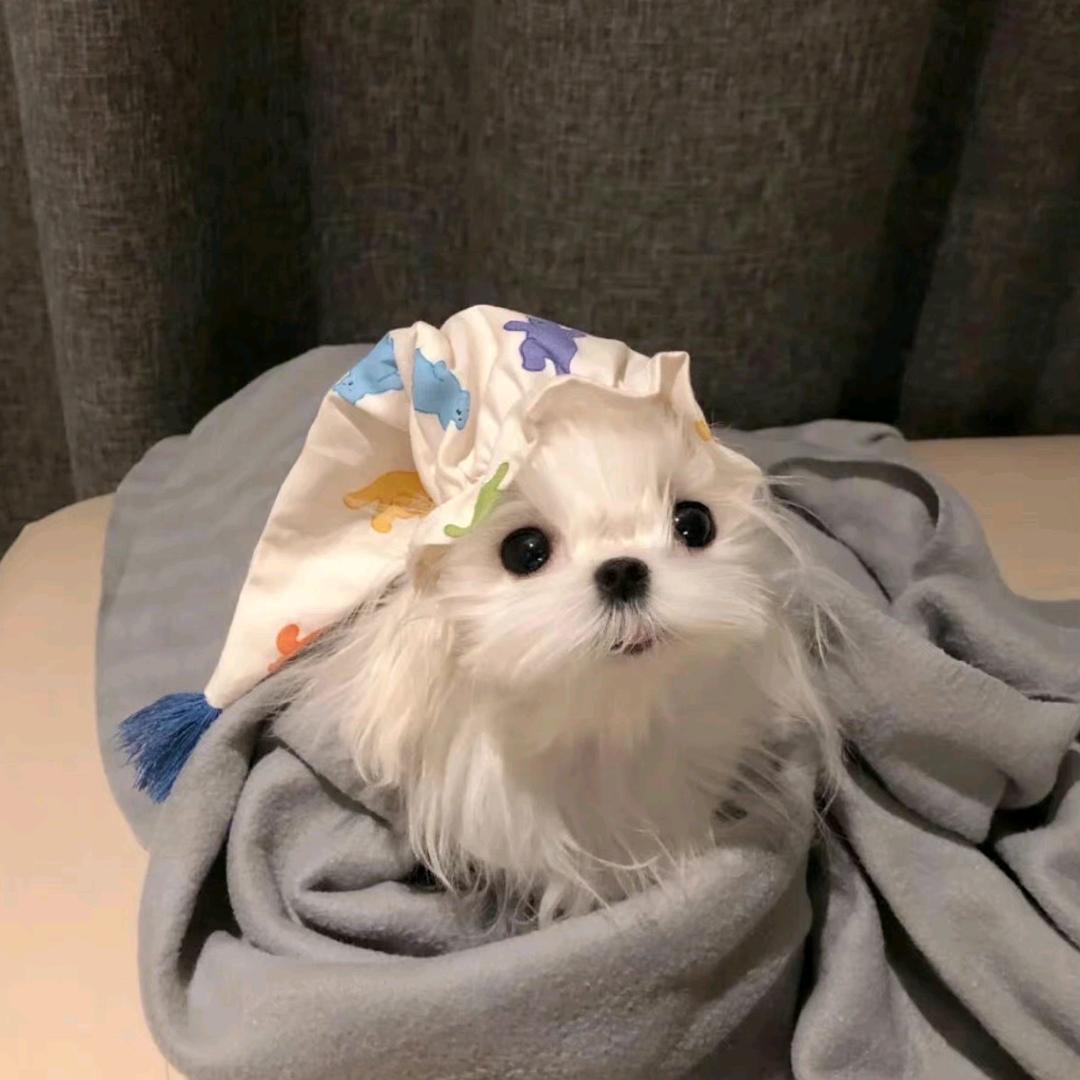 每天都好饿呀