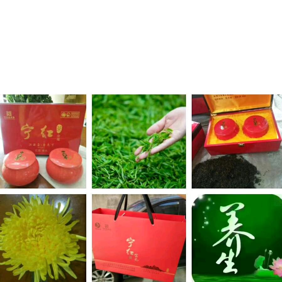 宁红茶叶，金丝皇菊，玲子大姐
