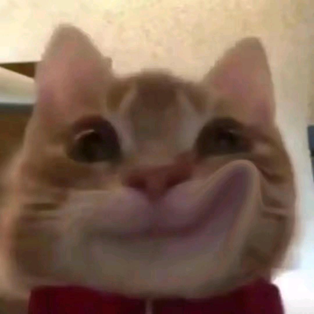绘绘子