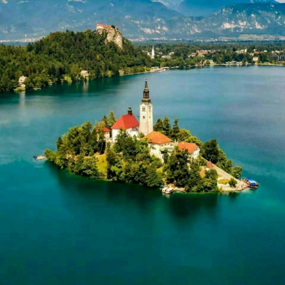 🌹🌹一帆风顺🌹🌹