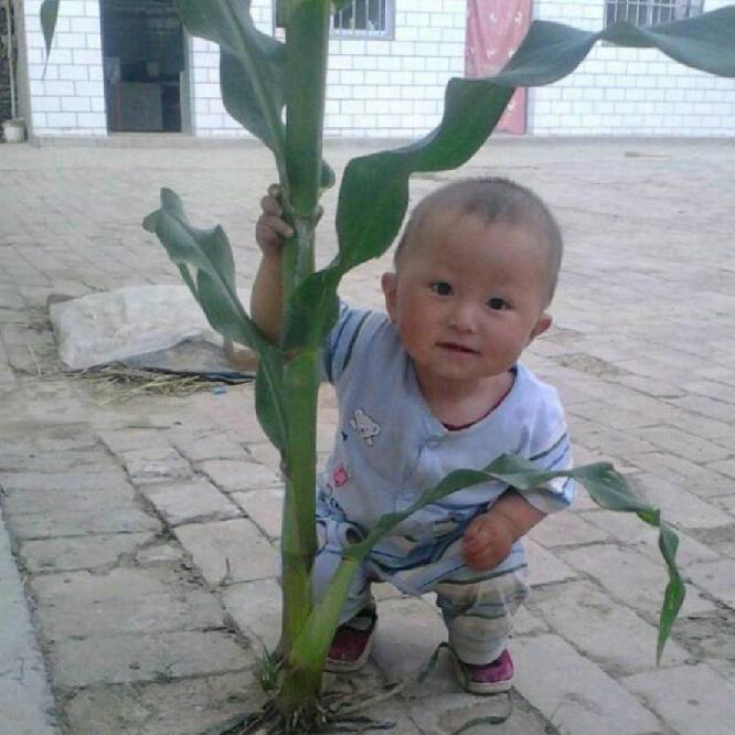 自我回忆